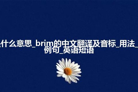 brim是什么意思_brim的中文翻译及音标_用法_同义词_例句_英语短语