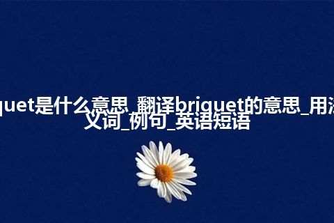 briquet是什么意思_翻译briquet的意思_用法_同义词_例句_英语短语