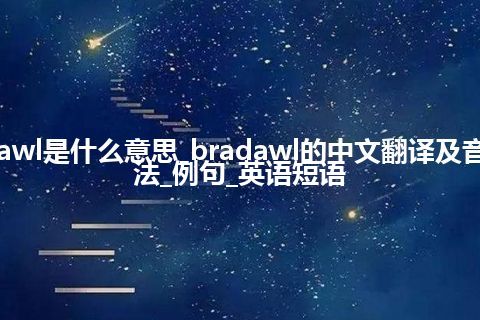 bradawl是什么意思_bradawl的中文翻译及音标_用法_例句_英语短语