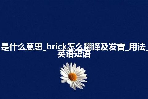 brick是什么意思_brick怎么翻译及发音_用法_例句_英语短语