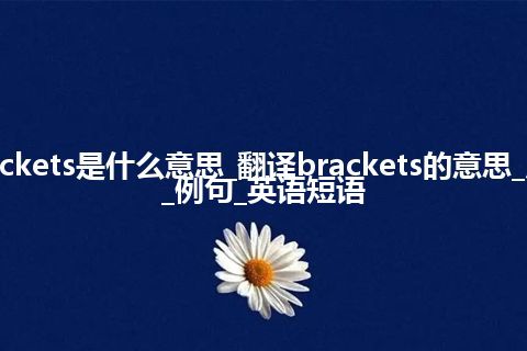 brackets是什么意思_翻译brackets的意思_用法_例句_英语短语