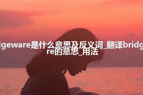 bridgeware是什么意思及反义词_翻译bridgeware的意思_用法