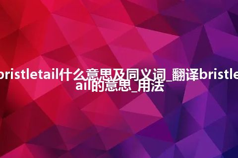 bristletail什么意思及同义词_翻译bristletail的意思_用法