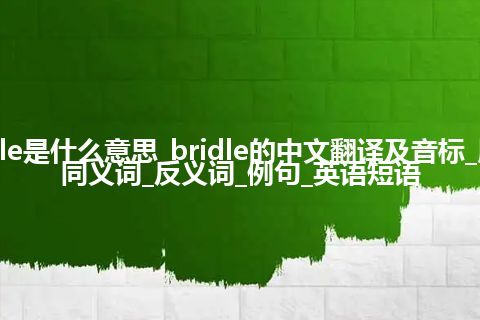 bridle是什么意思_bridle的中文翻译及音标_用法_同义词_反义词_例句_英语短语