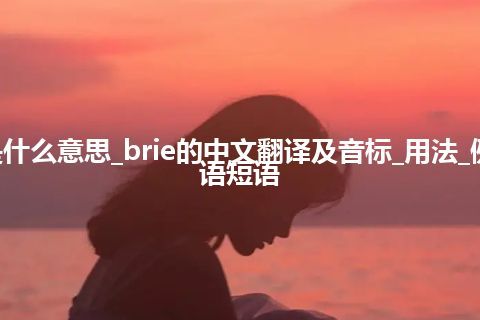 brie是什么意思_brie的中文翻译及音标_用法_例句_英语短语