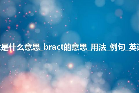 bract是什么意思_bract的意思_用法_例句_英语短语