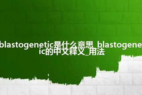 blastogenetic是什么意思_blastogenetic的中文释义_用法