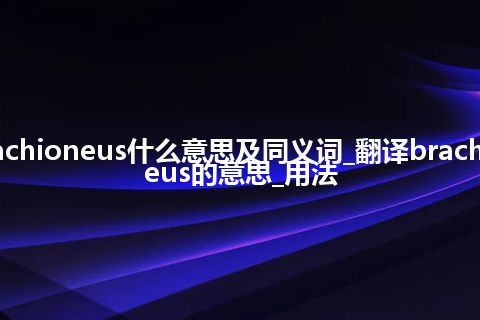 brachioneus什么意思及同义词_翻译brachioneus的意思_用法