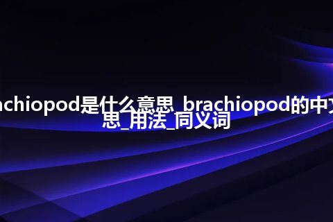 brachiopod是什么意思_brachiopod的中文意思_用法_同义词