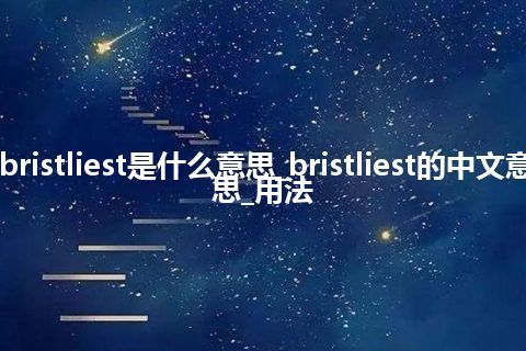 bristliest是什么意思_bristliest的中文意思_用法