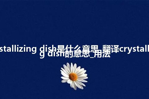 crystallizing dish是什么意思_翻译crystallizing dish的意思_用法