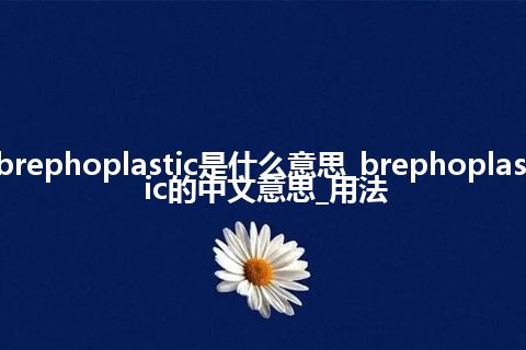 brephoplastic是什么意思_brephoplastic的中文意思_用法