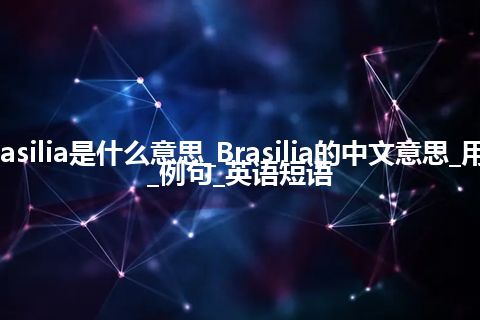 Brasilia是什么意思_Brasilia的中文意思_用法_例句_英语短语