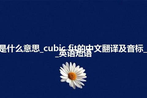 cubic fit是什么意思_cubic fit的中文翻译及音标_用法_例句_英语短语