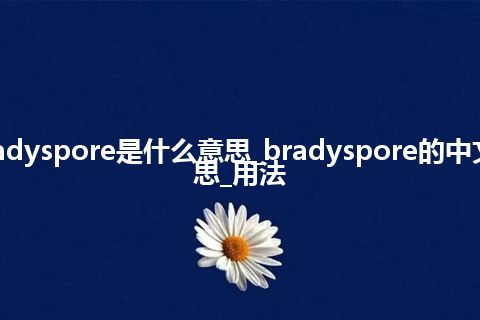 bradyspore是什么意思_bradyspore的中文意思_用法