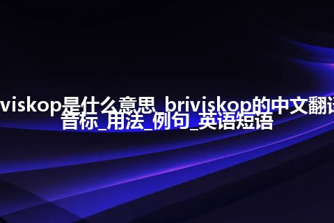 briviskop是什么意思_briviskop的中文翻译及音标_用法_例句_英语短语