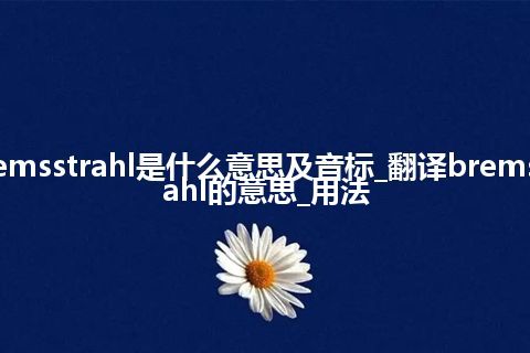 bremsstrahl是什么意思及音标_翻译bremsstrahl的意思_用法