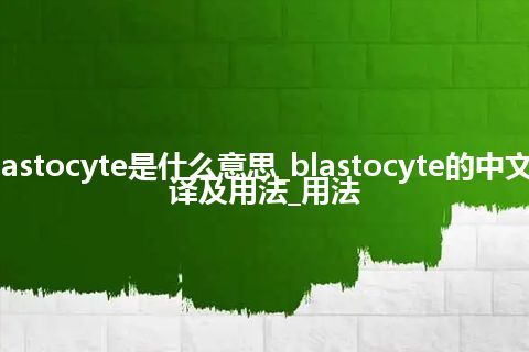 blastocyte是什么意思_blastocyte的中文翻译及用法_用法