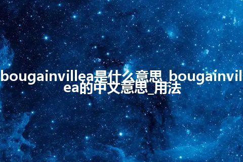 bougainvillea是什么意思_bougainvillea的中文意思_用法