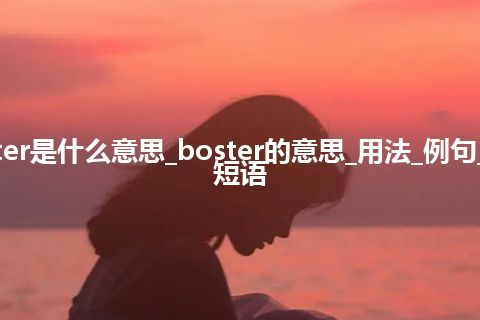 boster是什么意思_boster的意思_用法_例句_英语短语