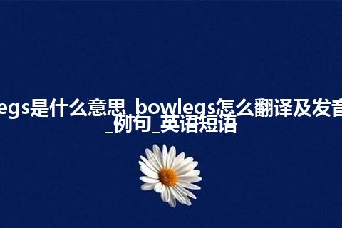 bowlegs是什么意思_bowlegs怎么翻译及发音_用法_例句_英语短语