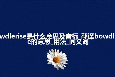 bowdlerise是什么意思及音标_翻译bowdlerise的意思_用法_同义词