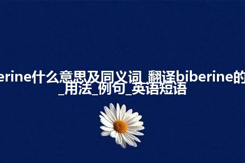 biberine什么意思及同义词_翻译biberine的意思_用法_例句_英语短语