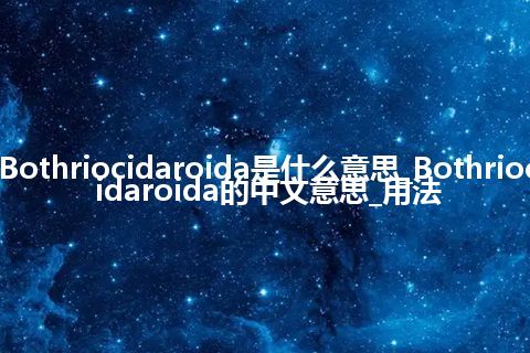 Bothriocidaroida是什么意思_Bothriocidaroida的中文意思_用法