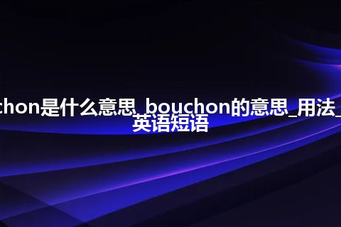 bouchon是什么意思_bouchon的意思_用法_例句_英语短语