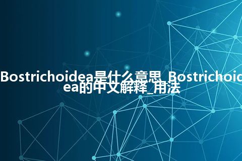 Bostrichoidea是什么意思_Bostrichoidea的中文解释_用法