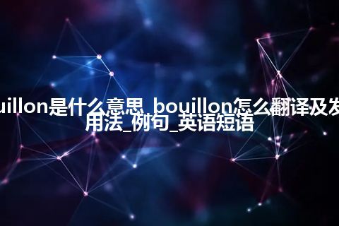 bouillon是什么意思_bouillon怎么翻译及发音_用法_例句_英语短语