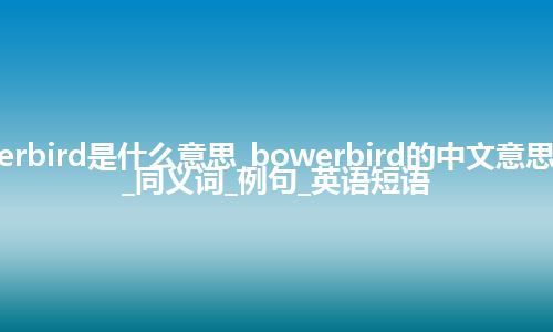 bowerbird是什么意思_bowerbird的中文意思_用法_同义词_例句_英语短语