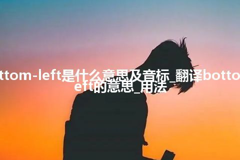 bottom-left是什么意思及音标_翻译bottom-left的意思_用法