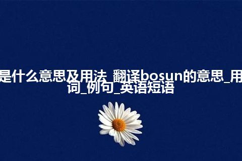 bosun是什么意思及用法_翻译bosun的意思_用法_同义词_例句_英语短语