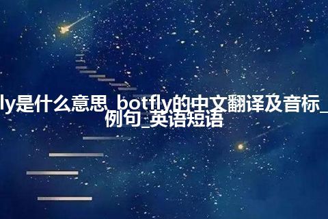 botfly是什么意思_botfly的中文翻译及音标_用法_例句_英语短语