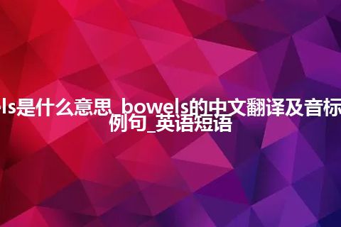 bowels是什么意思_bowels的中文翻译及音标_用法_例句_英语短语