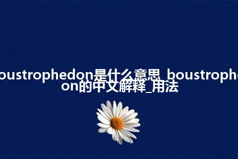 boustrophedon是什么意思_boustrophedon的中文解释_用法