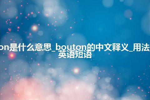 bouton是什么意思_bouton的中文释义_用法_例句_英语短语