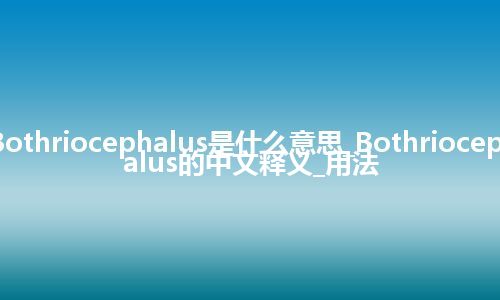 Bothriocephalus是什么意思_Bothriocephalus的中文释义_用法