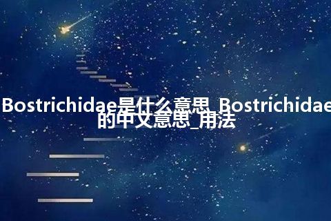 Bostrichidae是什么意思_Bostrichidae的中文意思_用法