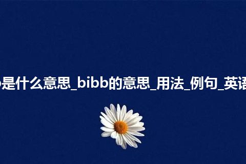 bibb是什么意思_bibb的意思_用法_例句_英语短语