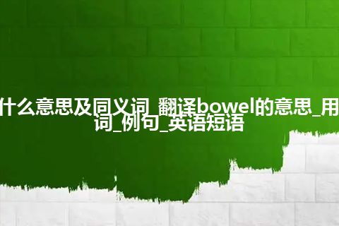 bowel什么意思及同义词_翻译bowel的意思_用法_同义词_例句_英语短语