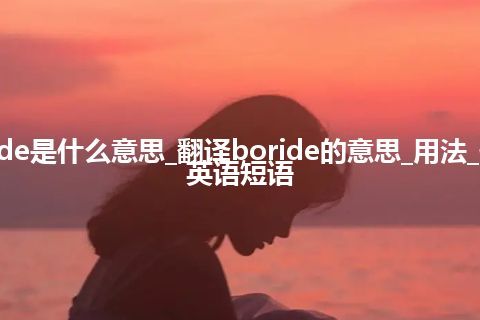 boride是什么意思_翻译boride的意思_用法_例句_英语短语