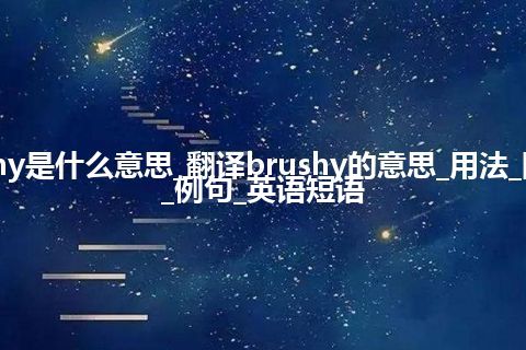 brushy是什么意思_翻译brushy的意思_用法_同义词_例句_英语短语