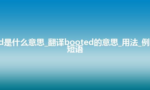 booted是什么意思_翻译booted的意思_用法_例句_英语短语