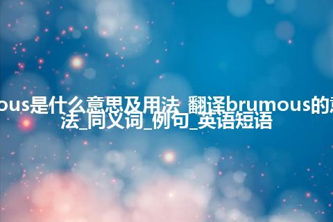 brumous是什么意思及用法_翻译brumous的意思_用法_同义词_例句_英语短语