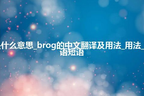 brog是什么意思_brog的中文翻译及用法_用法_例句_英语短语