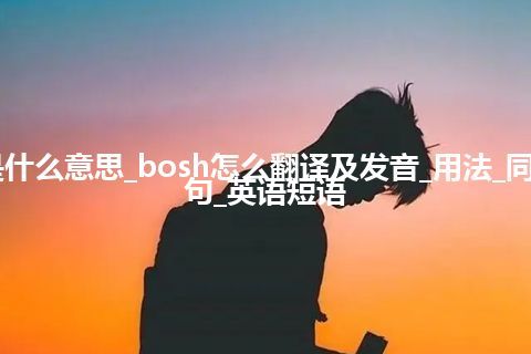 bosh是什么意思_bosh怎么翻译及发音_用法_同义词_例句_英语短语