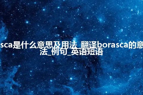 borasca是什么意思及用法_翻译borasca的意思_用法_例句_英语短语