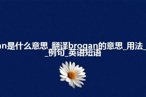 brogan是什么意思_翻译brogan的意思_用法_同义词_例句_英语短语